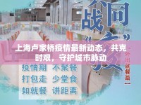 上海盧家橋疫情最新動態(tài)，共克時艱，守護城市脈動