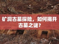 礦洞古墓探險，如何揭開古墓之謎？