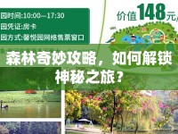 森林奇妙攻略，如何解鎖神秘之旅？