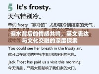 淚水背后的情感共鳴，英文表達與文化交融的深度探索