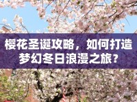 櫻花圣誕攻略，如何打造夢(mèng)幻冬日浪漫之旅？