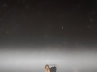 如何在夢(mèng)幻手游幫派競(jìng)賽中布局無敵戰(zhàn)術(shù)，碾壓對(duì)手？