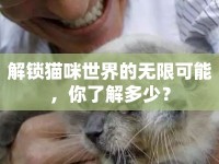解鎖貓咪世界的無(wú)限可能，你了解多少？