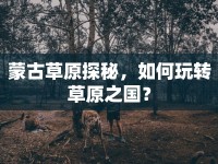 蒙古草原探秘，如何玩轉(zhuǎn)草原之國(guó)？
