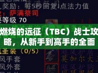 燃燒的遠(yuǎn)征（TBC）戰(zhàn)士攻略，從新手到高手的全面指南