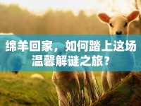 綿羊回家，如何踏上這場(chǎng)溫馨解謎之旅？