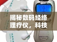 揭秘?cái)?shù)碼經(jīng)絡(luò)理療儀，科技與健康的雙刃劍