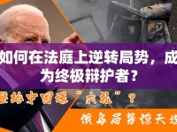 如何在法庭上逆轉(zhuǎn)局勢(shì)，成為終極辯護(hù)者？