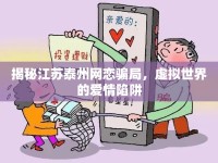 揭秘江蘇泰州網(wǎng)戀騙局，虛擬世界的愛情陷阱