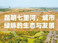 昆明七里河，城市綠脈的生態(tài)與發(fā)展和諧共舞新篇章