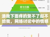 添我下面癢的受不了卻不給我，網(wǎng)絡(luò)討論中的情感與需求