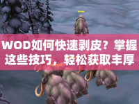 WOD如何快速剝皮？掌握這些技巧，輕松獲取豐厚獎勵！