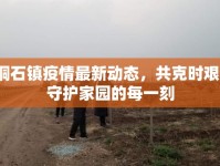 銅石鎮(zhèn)疫情最新動(dòng)態(tài)，共克時(shí)艱，守護(hù)家園的每一刻