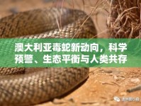 澳大利亞毒蛇新動向，科學預警、生態(tài)平衡與人類共存的挑戰(zhàn)