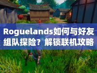 Roguelands如何與好友組隊(duì)探險(xiǎn)？解鎖聯(lián)機(jī)攻略，共赴未知冒險(xiǎn)之旅！