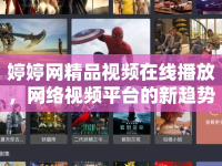 婷婷網精品視頻在線播放，網絡視頻平臺的新趨勢