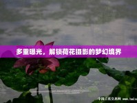 多重曝光，解鎖荷花攝影的夢幻境界