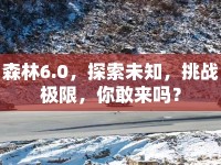 森林6.0，探索未知，挑戰(zhàn)極限，你敢來嗎？