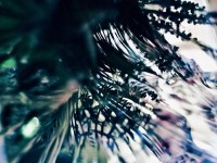 甲士防御太弱？如何打造倩女幽魂手游中的團隊不敗壁壘？