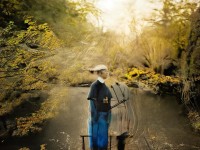 日韓流行文化為何能引發(fā)全球共鳴？