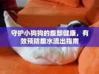 守護小狗狗的腹部健康，有效預防腹水流出指南