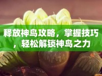 釋放神鳥攻略，掌握技巧，輕松解鎖神鳥之力