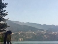 如何打造最強(qiáng)輔助蛇精？問道手游花花蛇加點(diǎn)攻略來啦！