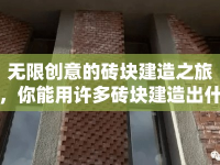 無限創(chuàng)意的磚塊建造之旅，你能用許多磚塊建造出什么？