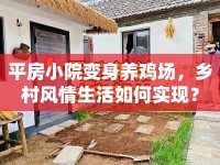 平房小院變身養(yǎng)雞場，鄉(xiāng)村風(fēng)情生活如何實現(xiàn)？