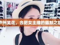 廬州笑花，合肥女主播的幽默之旅