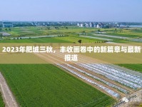 2023年肥城三秋，豐收畫卷中的新篇章與最新報道