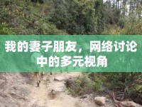 我的妻子朋友，網(wǎng)絡(luò)討論中的多元視角