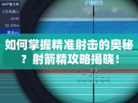 如何掌握精準(zhǔn)射擊的奧秘？射箭精攻略揭曉！
