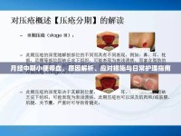 月經中期小便帶血，原因解析、應對措施與日常護理指南