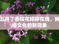 五月丁香探花婷婷在線，網(wǎng)絡(luò)文化的新現(xiàn)象
