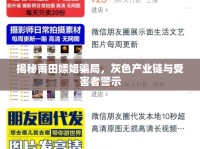 揭秘莆田嫖娼騙局，灰色產(chǎn)業(yè)鏈與受害者警示