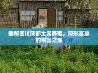 揭秘四川成都土元養(yǎng)殖，隱形富豪的財富之源