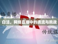 白潔，網(wǎng)絡(luò)直播中的清流與挑戰(zhàn)