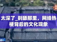 太深了_別舔那里，網(wǎng)絡(luò)熱梗背后的文化現(xiàn)象