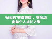 徐蕊的‘非誠(chéng)勿擾’，情感動(dòng)向與個(gè)人成長(zhǎng)之旅