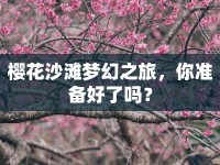 櫻花沙灘夢幻之旅，你準備好了嗎？