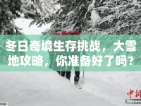 冬日奇境生存挑戰(zhàn)，大雪地攻略，你準(zhǔn)備好了嗎？