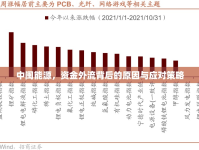 中閩能源，資金外流背后的原因與應對策略