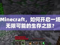 Minecraft，如何開啟一場無限可能的生存之旅？