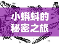 小蝌蚪的秘密之旅，探究其流出背后的原因