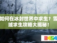 如何在冰封世界中求生？雪域求生攻略大揭秘！