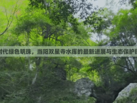 新時(shí)代綠色明珠，當(dāng)陽雙星寺水庫的最新進(jìn)展與生態(tài)保護(hù)探索