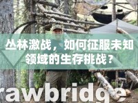 叢林激戰(zhàn)，如何征服未知領(lǐng)域的生存挑戰(zhàn)？
