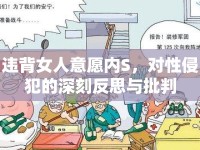 違背女人意愿內(nèi)S，對性侵犯的深刻反思與批判