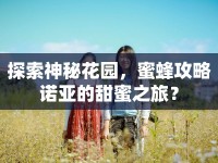 探索神秘花園，蜜蜂攻略諾亞的甜蜜之旅？